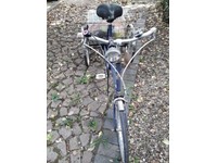 pashley tricycle for sale